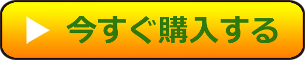 今すぐ購入する